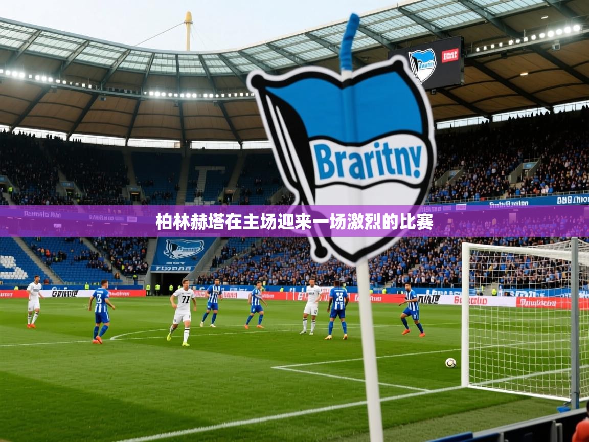 柏林赫塔在主场迎来一场激烈的比赛 柏林赫塔在主场迎来一场激烈的比赛