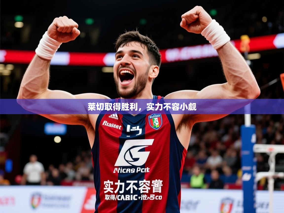 莱切取得胜利,实力不容小觑 莱切取得胜利,实力不容小觑