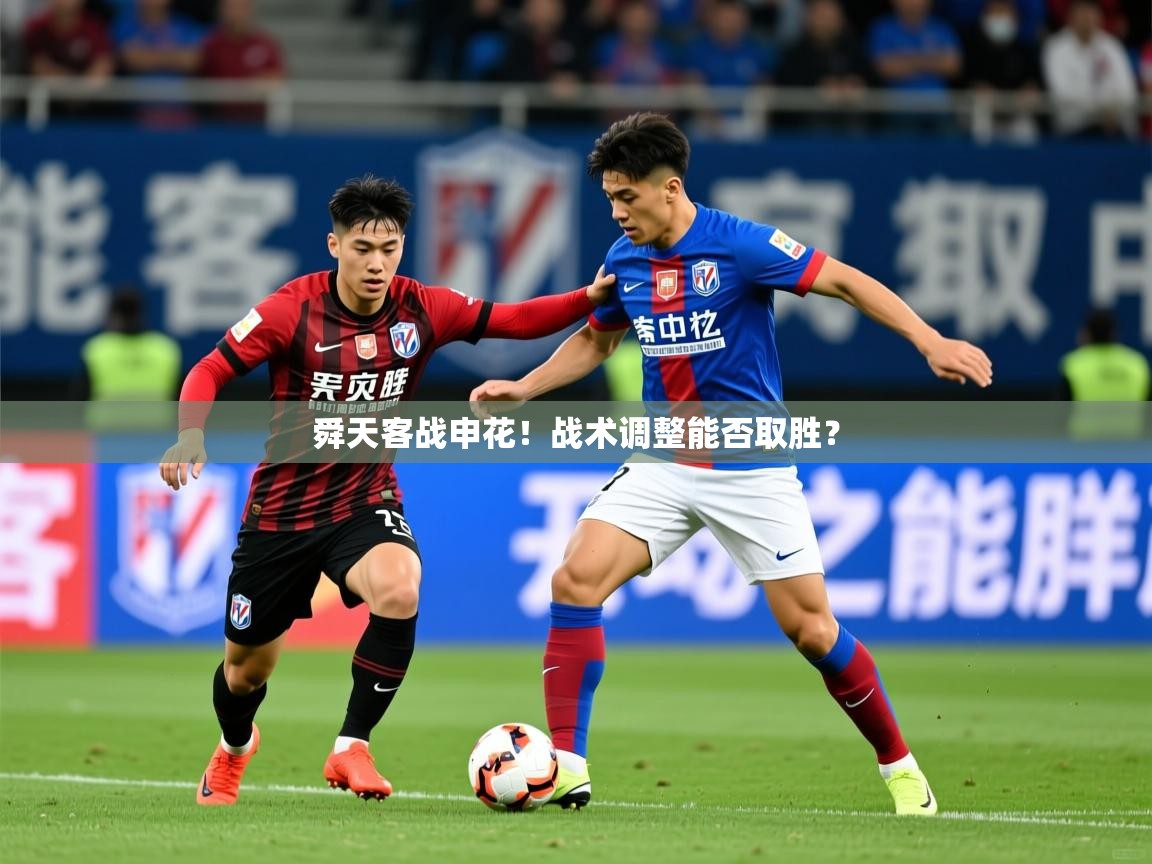 舜天客战申花!战术调整能否取胜? 舜天客战申花!战术调整能否取胜?