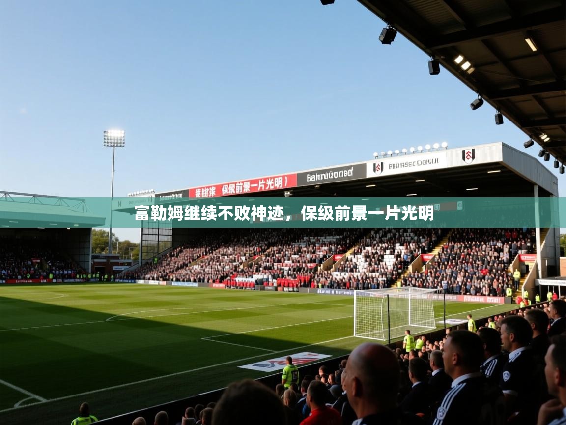 富勒姆继续不败神迹,保级前景一片光明 富勒姆继续不败神迹,保级前景一片光明
